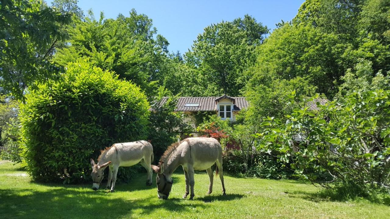 Le Moulin De Pensol Villa Exterior photo